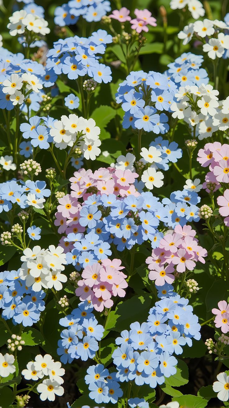 WhatsApp Image 2026-03-24 at 18.53.39